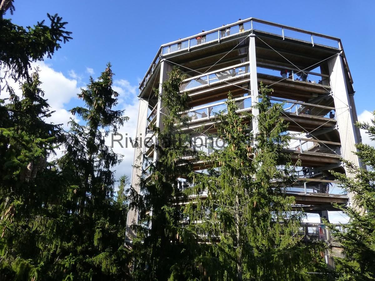 Riviera Lipno 415 Apartment Lipno nad Vltavou Luaran gambar