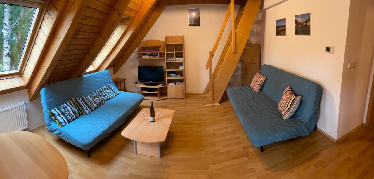 Riviera Lipno 415 Apartment Lipno nad Vltavou Luaran gambar